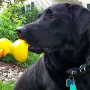 Meet your Posher, Wendy